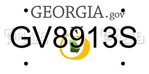 GV8913S Georgia License Plate