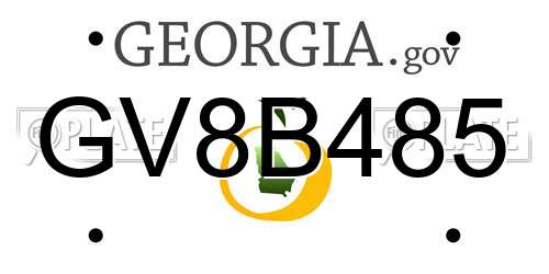 GV8B485 Georgia License Plate
