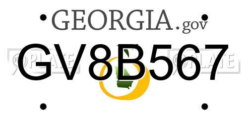 GV8B567 Georgia License Plate