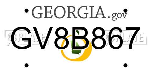 GV8B867 Georgia License Plate