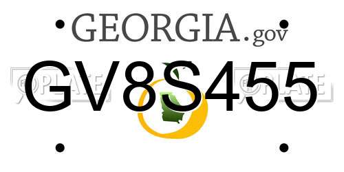 GV8S455 Georgia License Plate