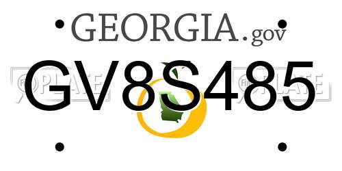 GV8S485 Georgia License Plate