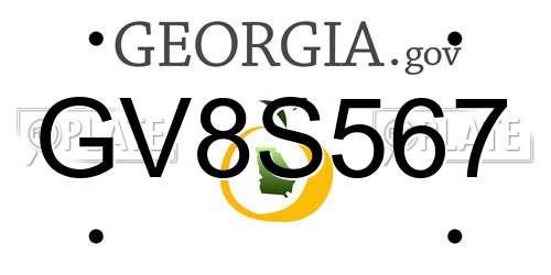 GV8S567 Georgia License Plate