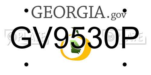 GV9530P Georgia License Plate