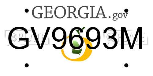 GV9693M Georgia License Plate