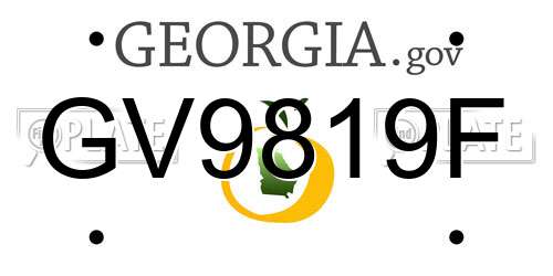 GV9819F Georgia License Plate