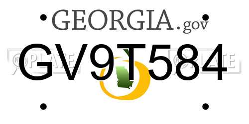GV9T584 Georgia License Plate