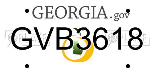GVB3618 Georgia License Plate