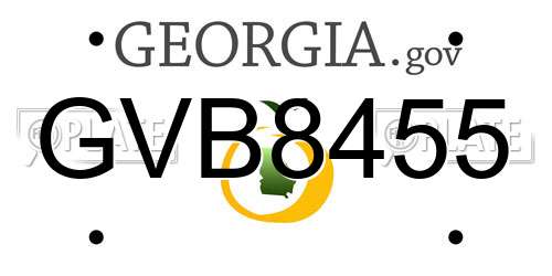 GVB8455 Georgia License Plate