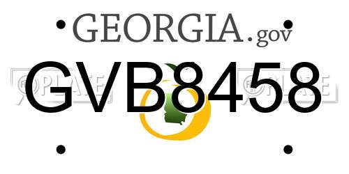 GVB8458 Georgia License Plate