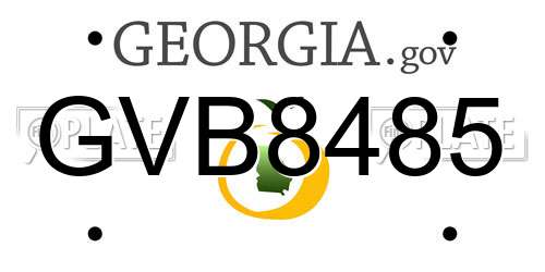 GVB8485 Georgia License Plate