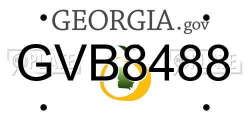 GVB8488 Georgia License Plate