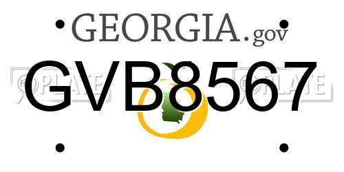 GVB8567 Georgia License Plate