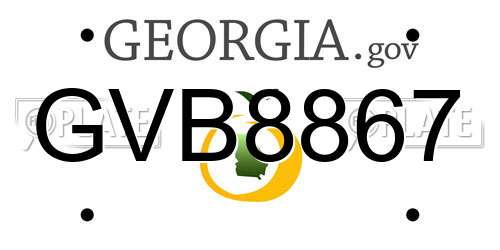 GVB8867 Georgia License Plate