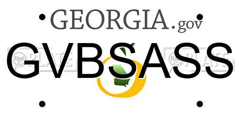 GVBSASS Georgia License Plate