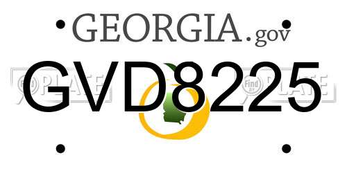 GVD8225 Georgia License Plate