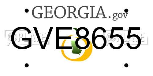 GVE8655 Georgia License Plate
