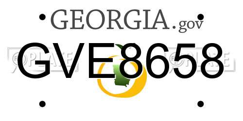 GVE8658 Georgia License Plate