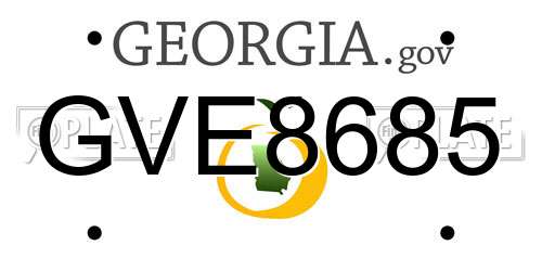 GVE8685 Georgia License Plate
