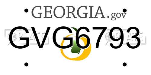 GVG6793 Georgia License Plate