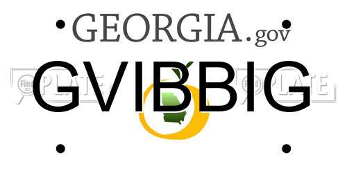 GVIBBIG Georgia License Plate