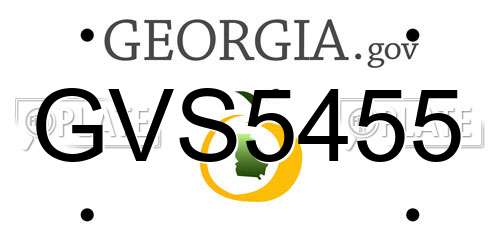 GVS5455 Georgia License Plate