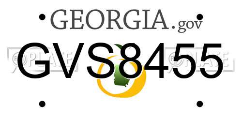 GVS8455 Georgia License Plate