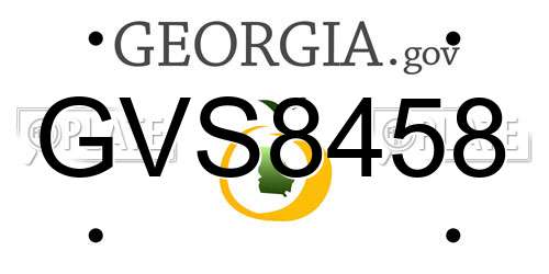GVS8458 Georgia License Plate