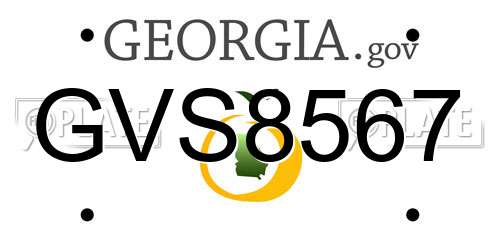GVS8567 Georgia License Plate