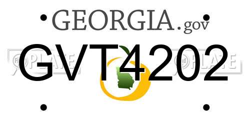 GVT4202 Georgia License Plate