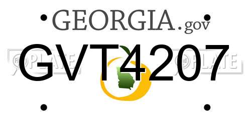 GVT4207 Georgia License Plate