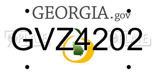 GVZ4202 Georgia License Plate