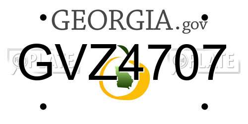 GVZ4707 Georgia License Plate