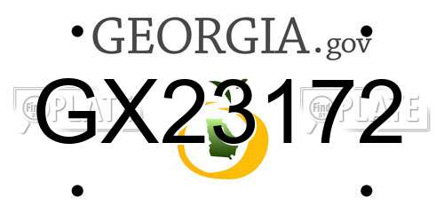 GX23172 Georgia License Plate