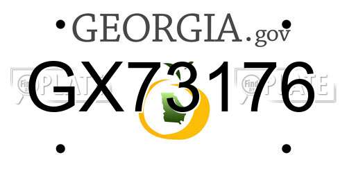 GX73176 Georgia License Plate