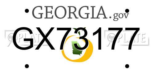 GX73177 Georgia License Plate