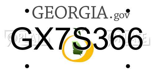 GX7S366 Georgia License Plate