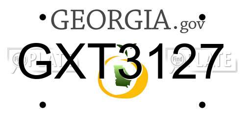 GXT3127 Georgia License Plate