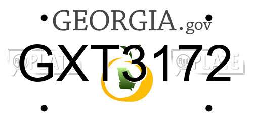 GXT3172 Georgia License Plate