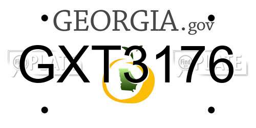 GXT3176 Georgia License Plate