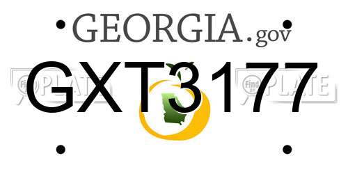 GXT3177 Georgia License Plate