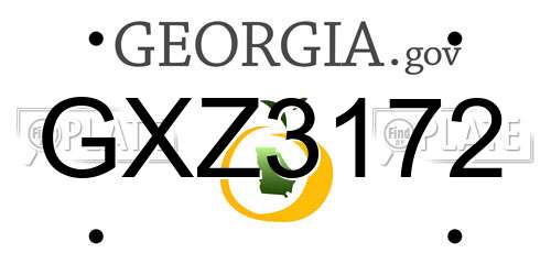 GXZ3172 Georgia License Plate