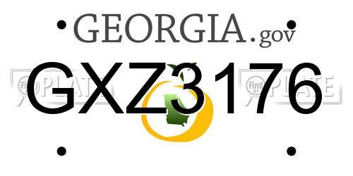GXZ3176 Georgia License Plate