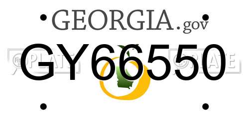 GY66550 Georgia License Plate