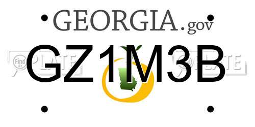 GZ1M3B Georgia License Plate