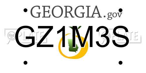 GZ1M3S Georgia License Plate