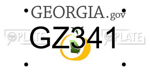 GZ341 Georgia License Plate
