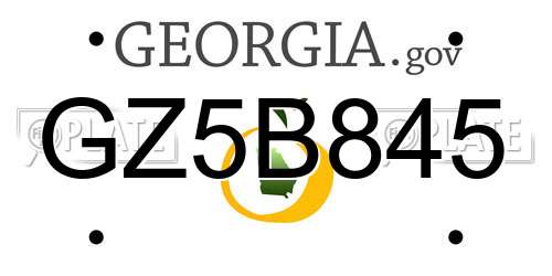 GZ5B845 Georgia License Plate