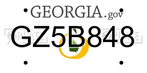 GZ5B848 Georgia License Plate