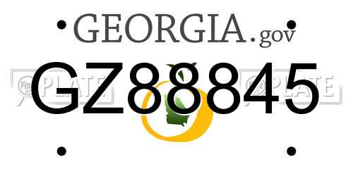 GZ88845 Georgia License Plate